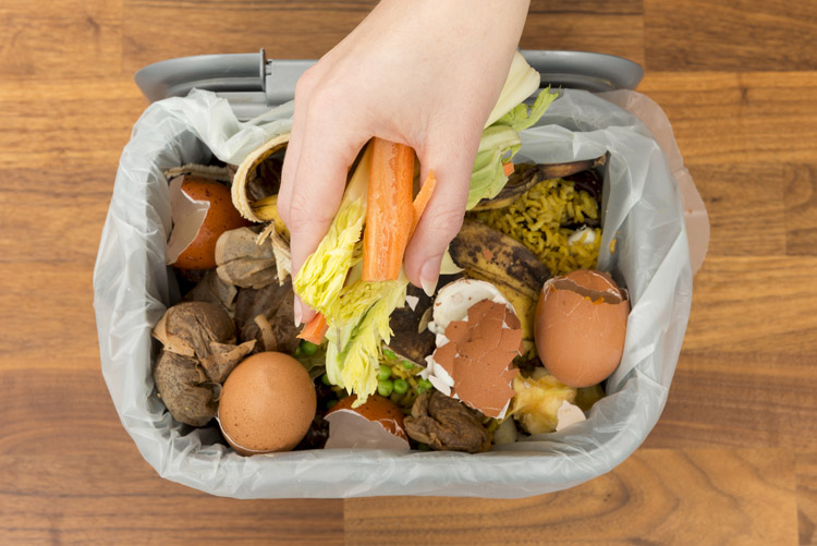 Fotografía contra el Desperdicio Alimentario